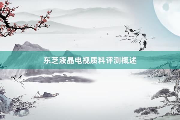 东芝液晶电视质料评测概述