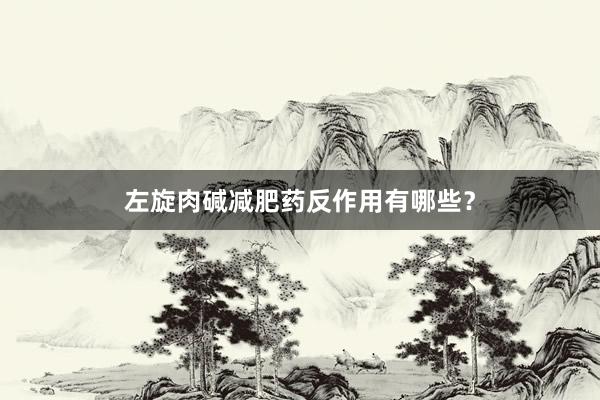 左旋肉碱减肥药反作用有哪些？